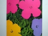 Plakate